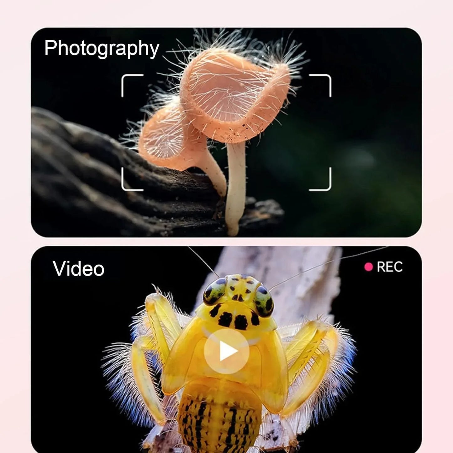 Upgraded Mini Kids Microscope – Portable Design for On-the-Go Exploration