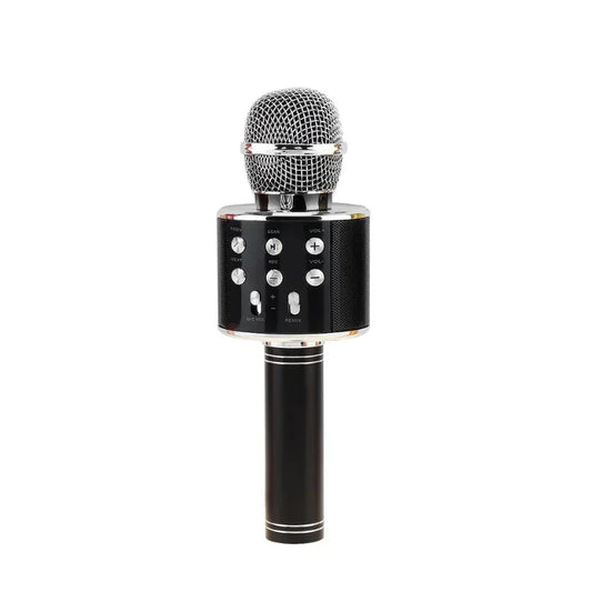 Karaoke Wireless Microphone