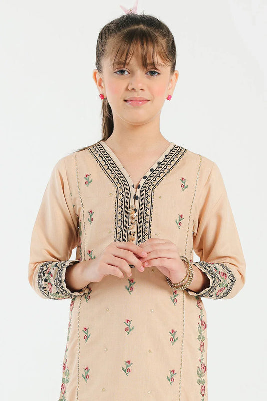 Elegant Embroidered Raw Silk Suit for Girls – 2 Piece