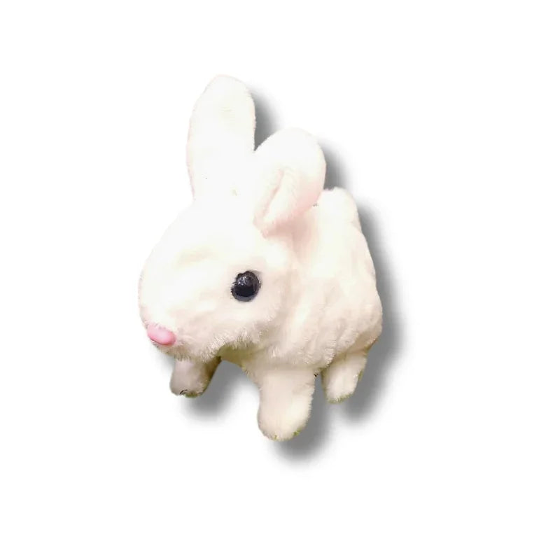 Cute Rabbit Simulation Without Box
