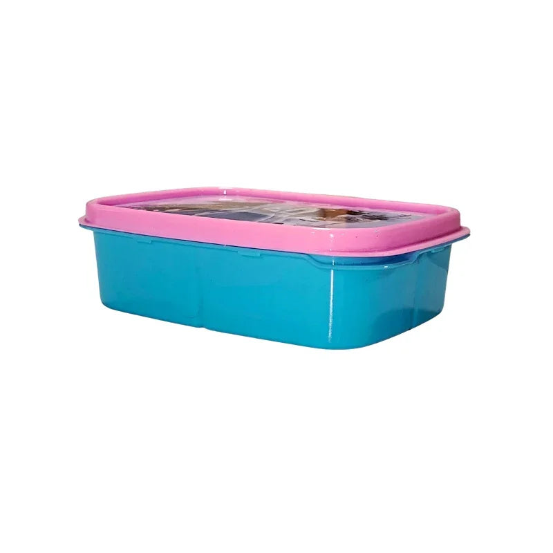 Lovely Frozen Princess Theme Lunch Box