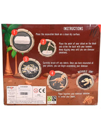 Dinosaur Excavation Kit For Kids
