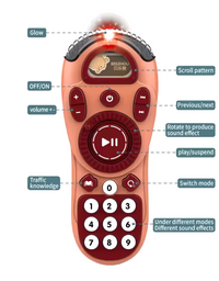 Multifunctional Learning Remote Control Toy With Sound And Light For Kids (Assorted)
