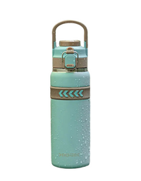 Stainless Steel Sports Water Bottle - 750ml (2408)
