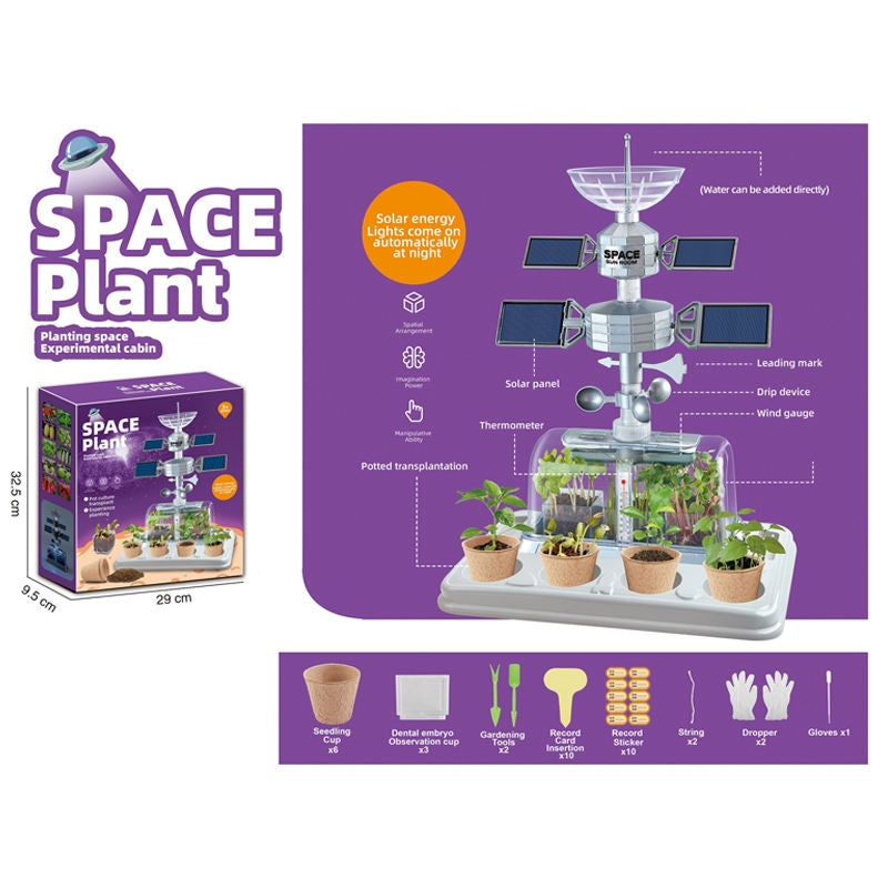 DIY Educational Space Plant Scientific Experiment Kit For Kids