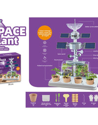 DIY Educational Space Plant Scientific Experiment Kit For Kids
