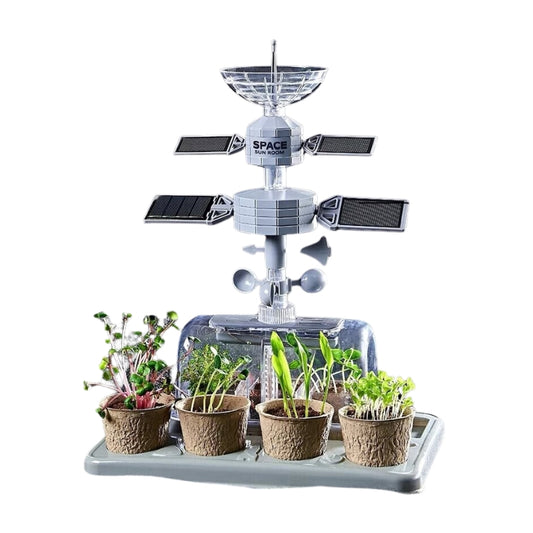 DIY Educational Space Plant Scientific Experiment Kit For Kids