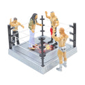 Wrestling Set Fighting Hero Toy