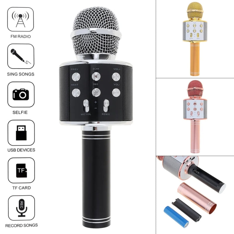 Karaoke Wireless Microphone