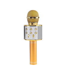 Karaoke Wireless Microphone
