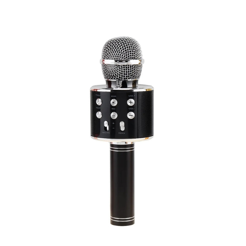 Karaoke Wireless Microphone