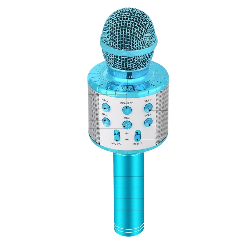 Karaoke Wireless Microphone