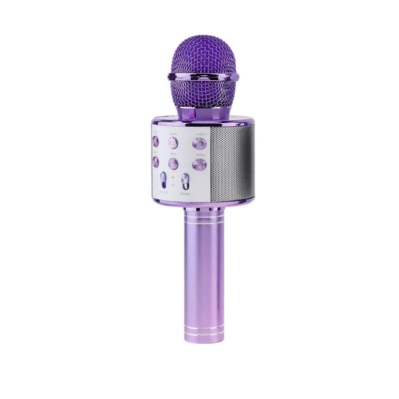 Karaoke Wireless Microphone