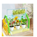 Children’s Activity Planting Sunlight Room