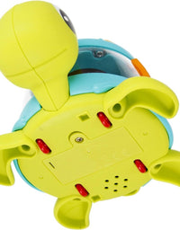 Electric Walking Turtle Toy
