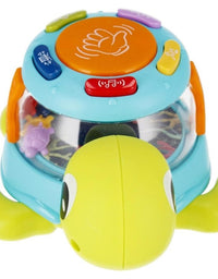 Electric Walking Turtle Toy
