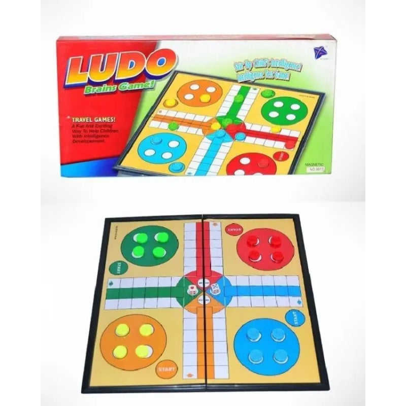 Magnetic Ludo Brains Game