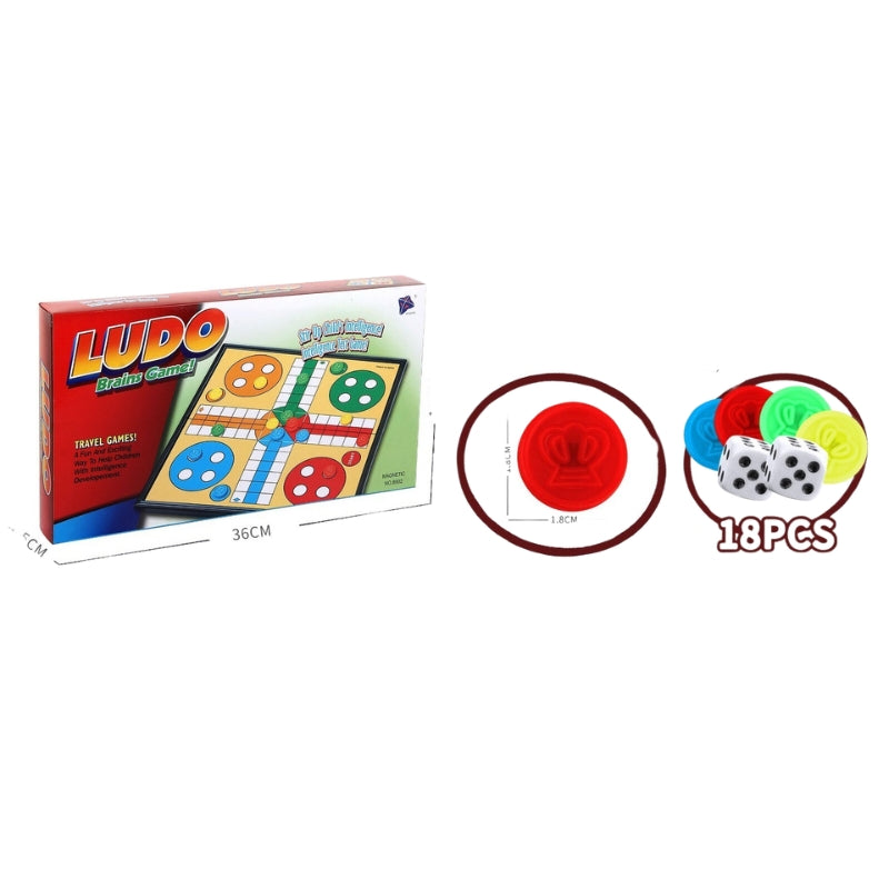 Magnetic Ludo Brains Game