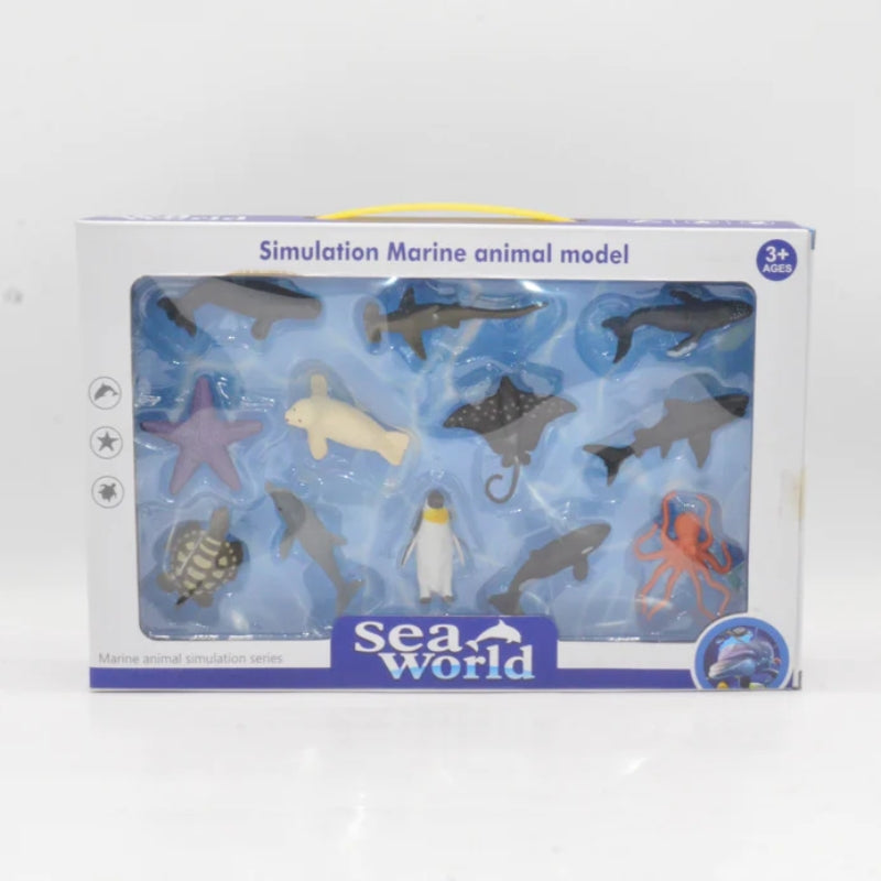 Simulation Sea Animals Model Box