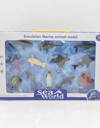Simulation Sea Animals Model Box
