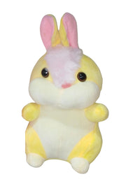 Cute Rabbit Stuff Toy 25cm
