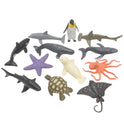 Simulation Sea Animals Model Box