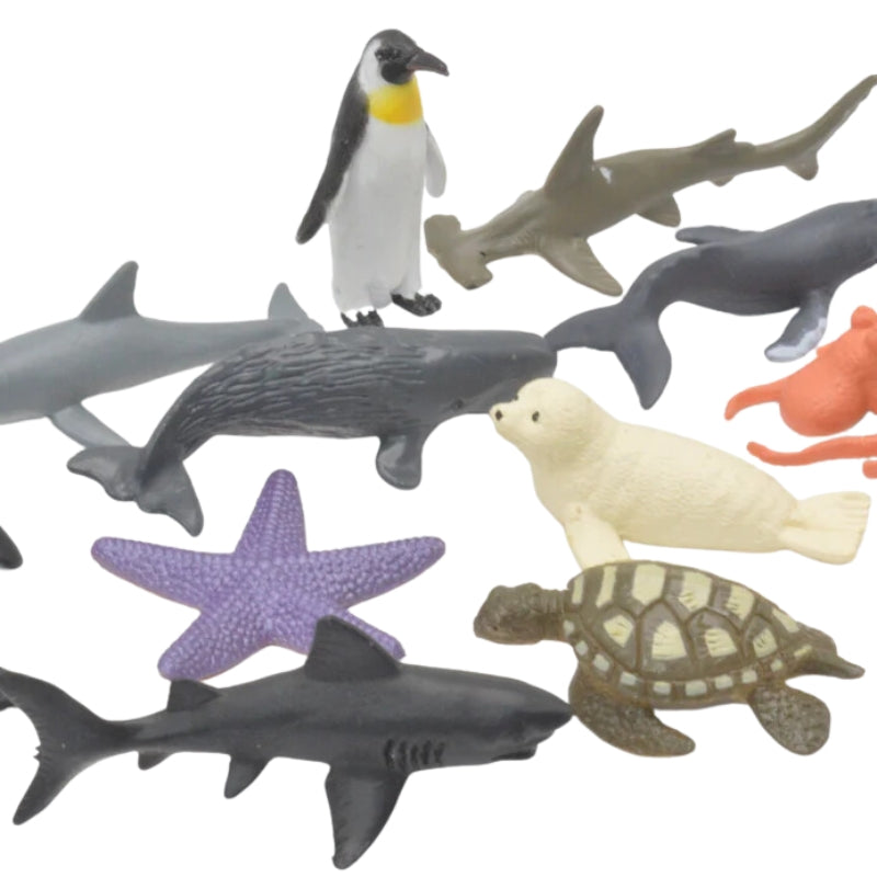 Simulation Sea Animals Model Box