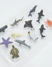 Simulation Sea Animals Model Box
