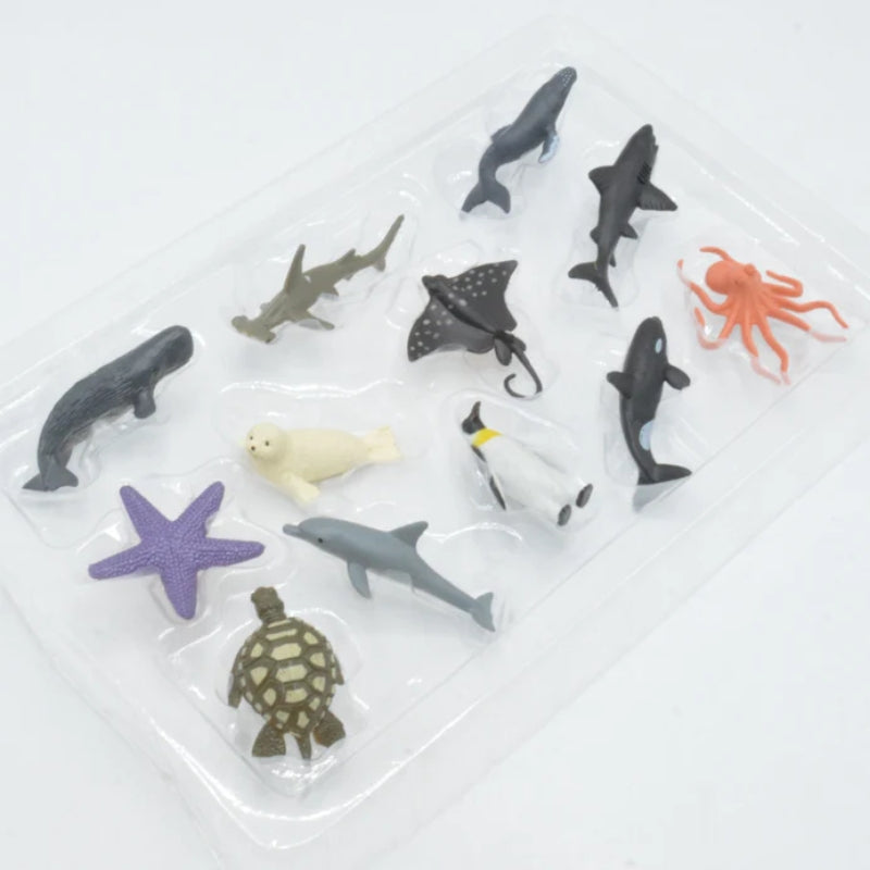 Simulation Sea Animals Model Box