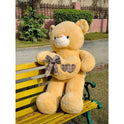 Soft Bow Teddy Bear Holding Cute Heart 90cm