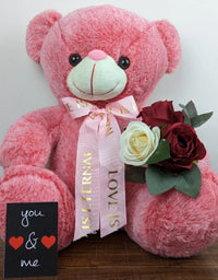 Grace Soft Teddy Bear Tying Ribbon Pink
