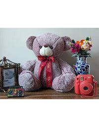 Grace Soft Teddy Bear Tying Ribbon Red
