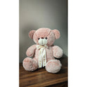 Grace Soft Teddy Bear Tying Ribbon White