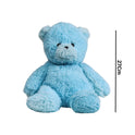 Cute Blue Bear 27Cm Premium Pre-loved