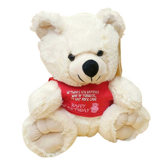 Teddy Bear Stuff Toy