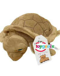 Turtle Stuff Toy
