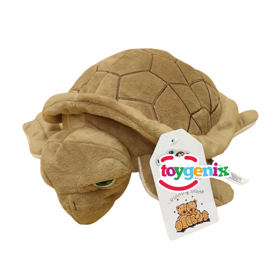 Turtle Stuff Toy