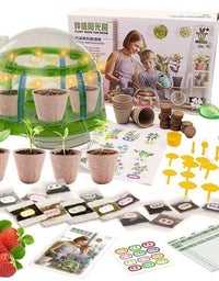 Plant Grow Sun Room Education Toy For Kids
