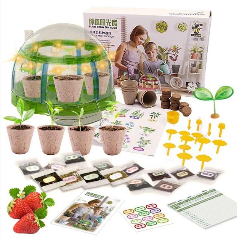 Plant Grow Sun Room Education Toy For Kids