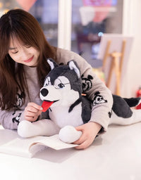 Husky Puppy Cute Plush Toy White 62x27Cm Premium Pre-loved
