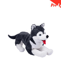 Husky Puppy Cute Plush Toy White 62x27Cm Premium Pre-loved
