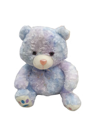 Rainbow Teddy Bear Stuff Toy For Kids
