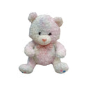 Rainbow Teddy Bear Stuff Toy For Kids