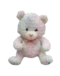 Rainbow Teddy Bear Stuff Toy For Kids
