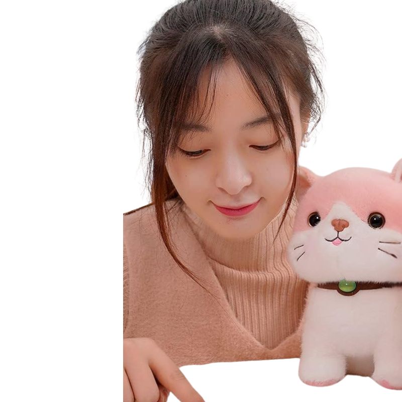 Cute And Adorable Stuffed Cat Plushie