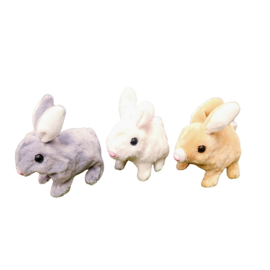 Cute Rabbit Simulation Without Box