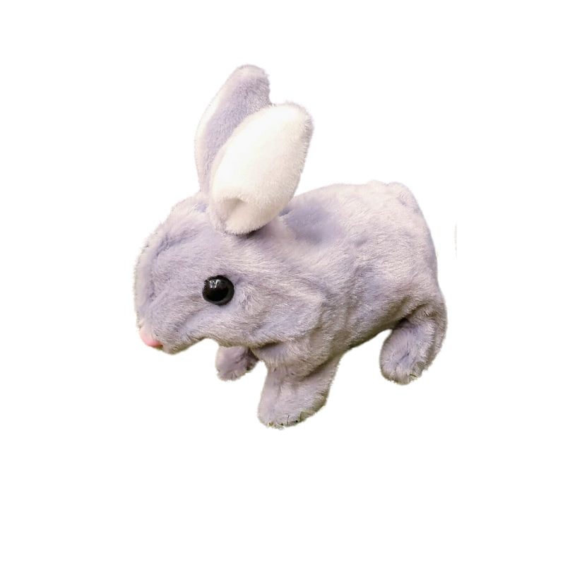 Cute Rabbit Simulation Without Box