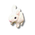 Cute Rabbit Simulation Without Box