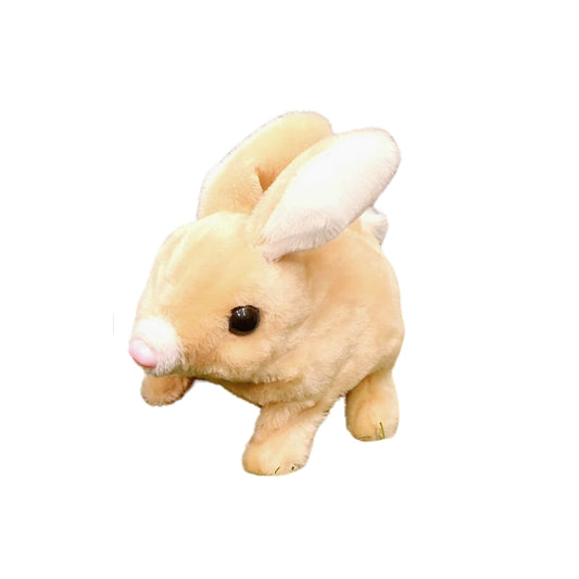 Cute Rabbit Simulation Without Box