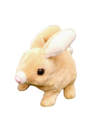 Cute Rabbit Simulation Without Box

